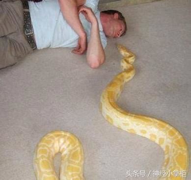 蛇死在家